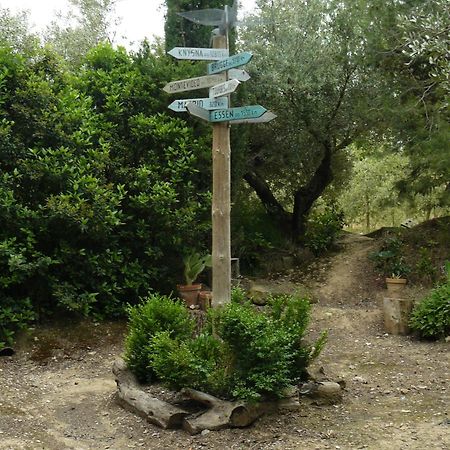 Casa Rural Torre De Campos Ainzon Eksteriør billede